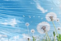 Dandelion sky, plastic wrap effect