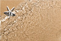 Beach sand, water wave effect