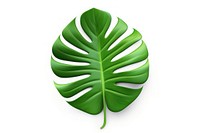 Monstera leaf plant white background freshness. AI generated Image by rawpixel.