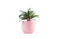 Potted plant flower leaf vase. 