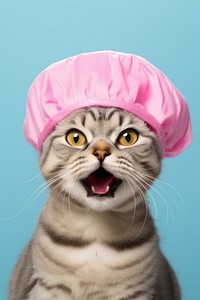 Cat in pink shower cap portrait. AI generated image by rawpixel.