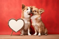 Two funny dog kissing wears a sign mammal animal pet.