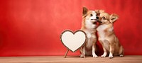 Two funny dog kissing wears a sign mammal animal puppy.