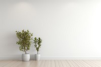 White Empty Room plant wall architecture. 