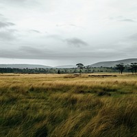Grass field landscape grassland outdoors. AI generated Image by rawpixel.