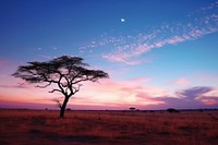 Africa sky landscape grassland. AI generated Image by rawpixel.