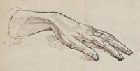 Study of the hand