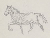 Sketchbook 6 horse by Arnold Peter Weisz Kubínčan