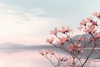Beautiful Nature nature outdoors blossom. AI generated Image by rawpixel.