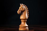 Chess horse mammal game. 