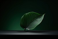 A leaf on dark background. AI generated image by rawpixel.