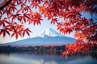 Fuji mountain autumn landscape outdoors. 