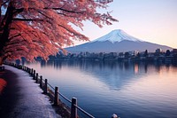 Fuji mountain autumn architecture landscape. 