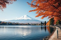 Fuji mountain autumn outdoors nature. 