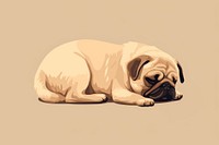 Dog pug animal mammal. 