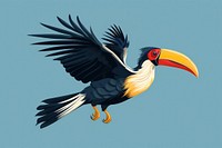 Hornbill animal toucan bird. 