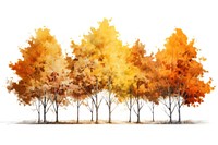 Fall trees outdoors painting nature. 