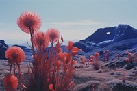 Alien planet nature flower landscape. AI generated Image by rawpixel.