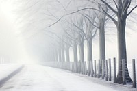 Misty wallpapers  outdoors winter. 