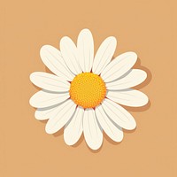 Daisy petal flower plant inflorescence. AI generated Image by rawpixel.