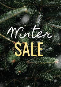 Winter sale   poster template