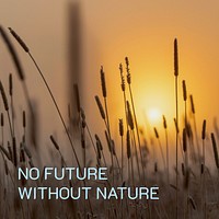 Nature quote   Instagram post template