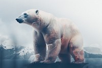 A polar bear with climate change wildlife animal mammal. AI generated Image by rawpixel.