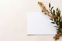 Festive message flower plant leaf. AI generated Image by rawpixel.