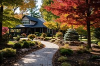 Autumn architecture outdoors backyard. 