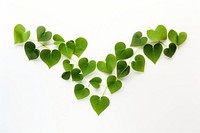 Heart shape green leaves plant leaf white background. AI generated Image by rawpixel.