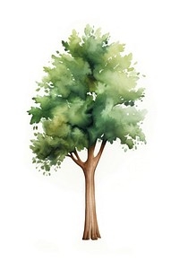 Big tree drawing plant white background. AI generated Image by rawpixel.