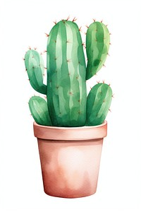 Cactus plant white background creativity. AI generated Image by rawpixel.