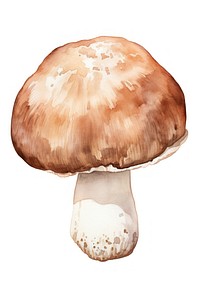 Truffle mushroom fungus agaric white background. AI generated Image by rawpixel.