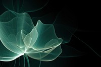 Lotus light backgrounds abstract. AI generated Image by rawpixel.