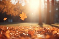 Autumn autumn leaves plant. AI generated Image by rawpixel.