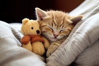 Sleeping kitten animal blanket mammal. AI generated Image by rawpixel.