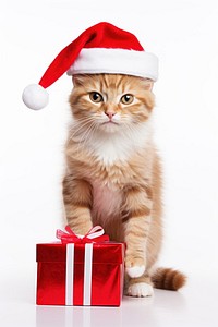 Cat christmas portrait mammal. AI generated Image by rawpixel.