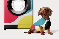 Dog and washing machine, design resource