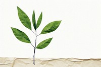 Green plant paper leaf tree. AI generated Image by rawpixel.