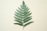 Fern leaf plant pattern nature. AI generated Image by rawpixel.