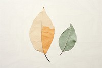 Leaf plant paper creativity. AI generated Image by rawpixel.