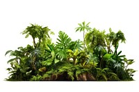 Rainforest vegetation outdoors nature. AI generated Image by rawpixel.