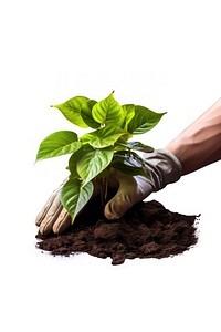 A hand gardening plants planting nature leaf. AI generated Image by rawpixel.