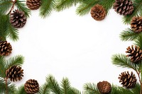 Christmas frame backgrounds spruce plant. AI generated Image by rawpixel.