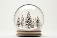Christmas glass dome christmas plant tree. AI generated Image by rawpixel.