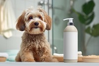 Pet soap bottle, product packaging