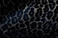 Black tiger backgrounds wildlife leopard. AI generated Image by rawpixel.