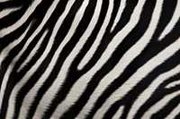 Zebra animal backgrounds wildlife. AI generated Image by rawpixel.
