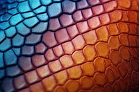 Rainbow scale backgrounds reptile pattern. AI generated Image by rawpixel.