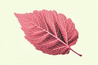 Leaf plant tree pattern. AI generated Image by rawpixel.